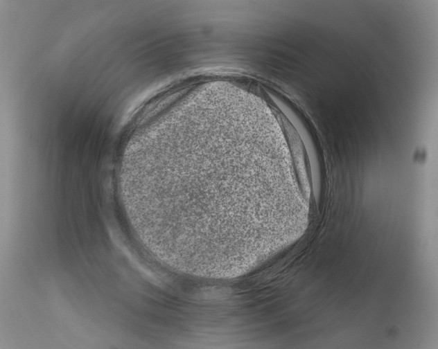 X0000111870535200909031818