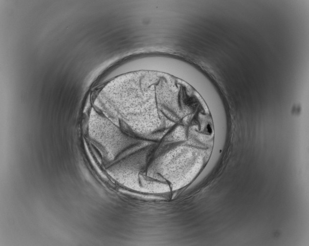 X0000111870536200909031818