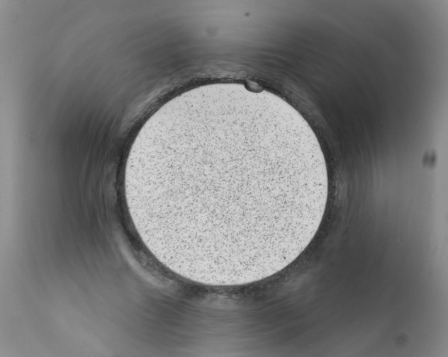 X0000111870538200909031818