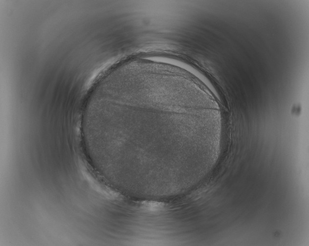 X0000111870539200909031818