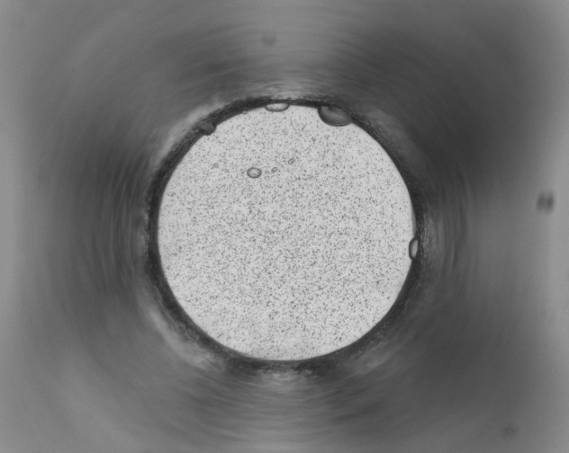 X0000111870540200909031818