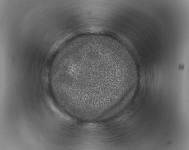 X0000111870542200909031818