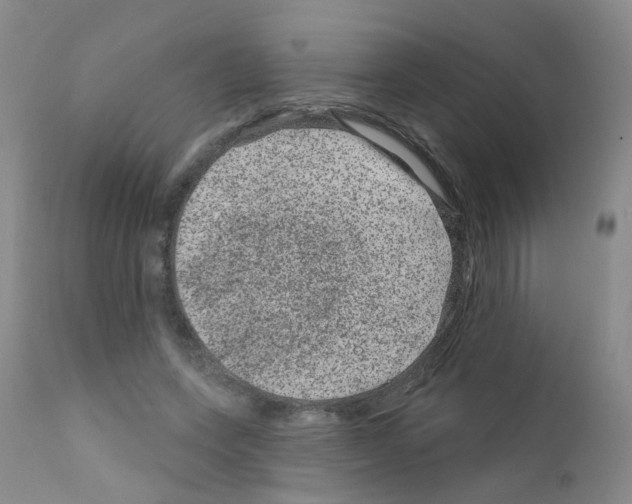 X0000111870543200909031818