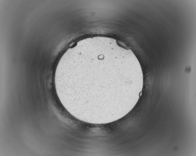 X0000111870544200909031818