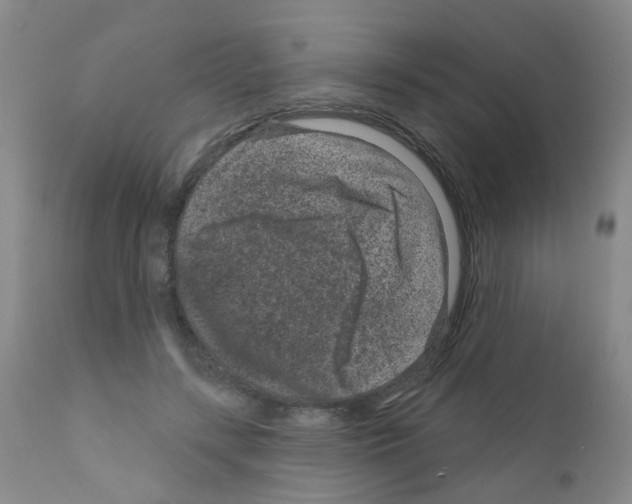 X0000111870547200909031818