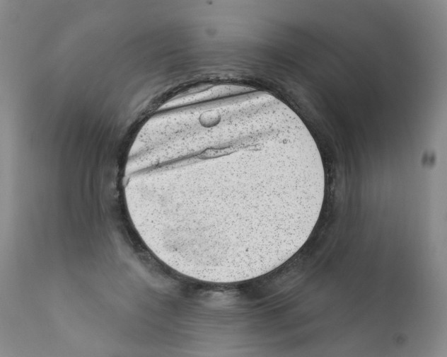 X0000111870548200909031818