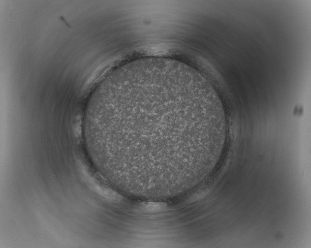 X0000111870549200909031818