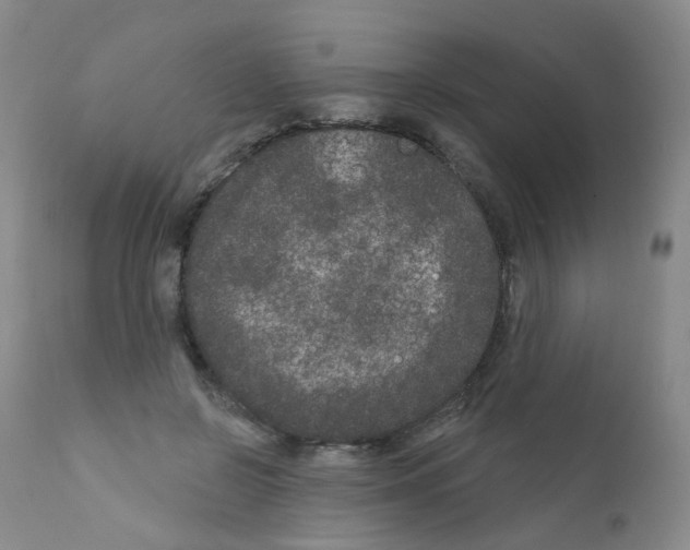 X0000111870550200909031818