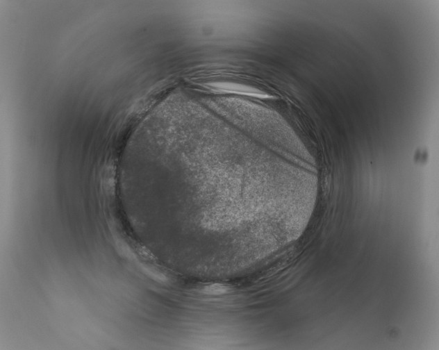 X0000111870551200909031818