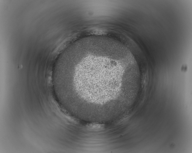 X0000111870553200909031818