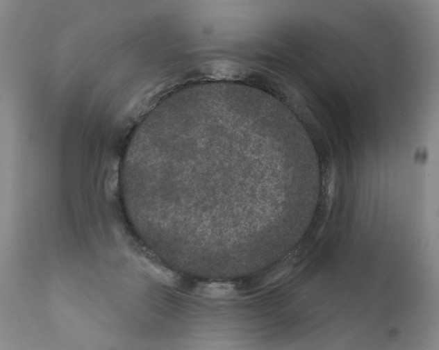 X0000111870554200909031818