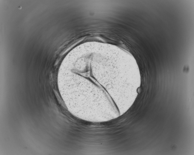 X0000111870556200909031818