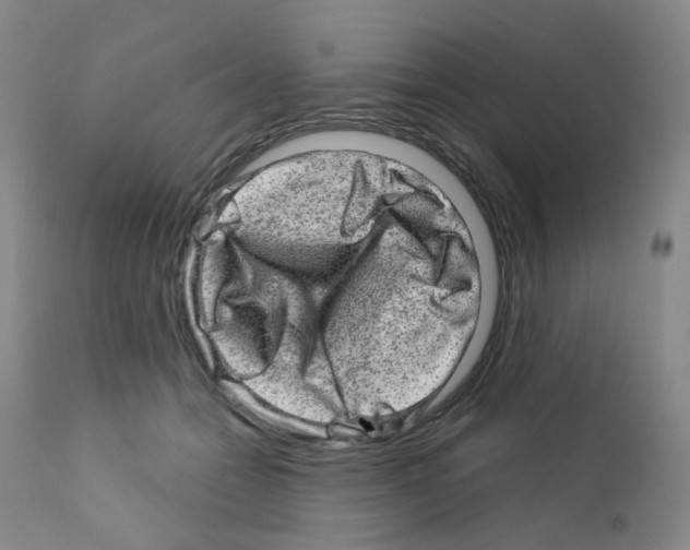 X0000111870558200909031818