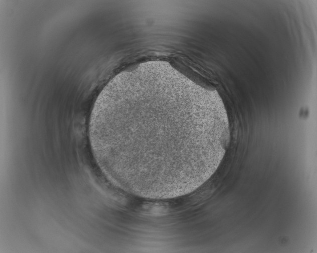 X0000111870559200909031818