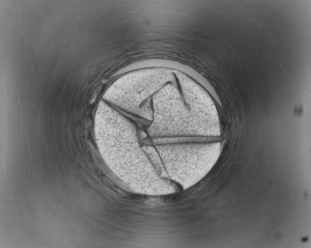 X0000111870562200909031818