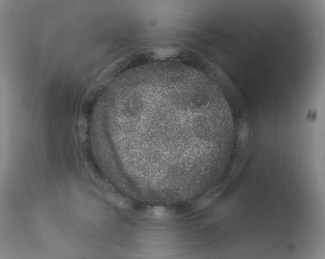 X0000111870565200909031818