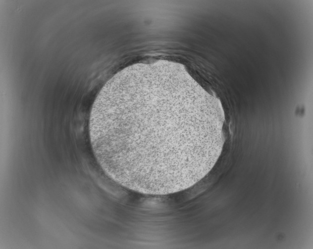 X0000111870567200909031818