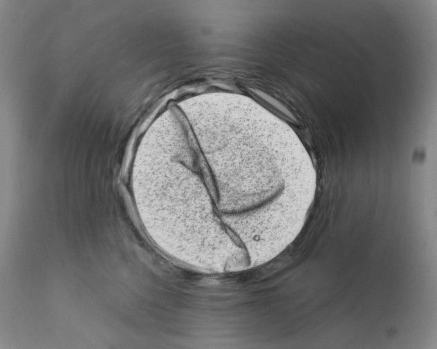 X0000111870568200909031818