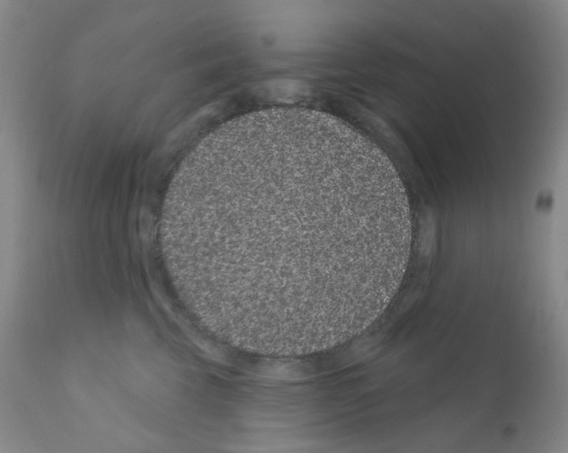 X0000111870569200909031818