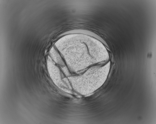 X0000111870570200909031818