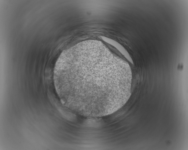 X0000111870571200909031818