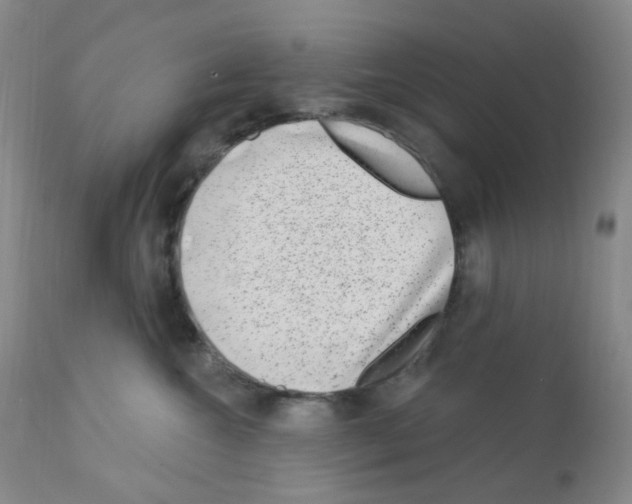 X0000111870572200909031818