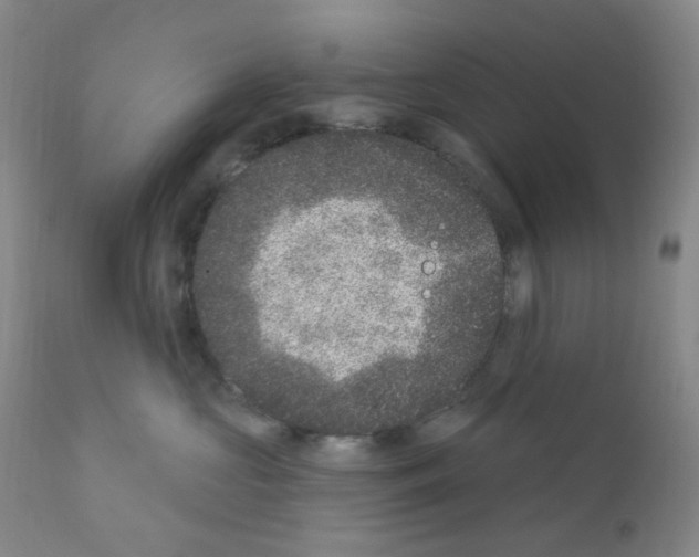 X0000111870573200909031818