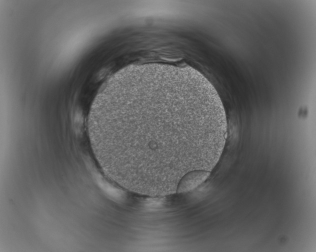 X0000111870574200909031818