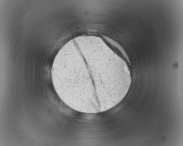 X0000111870575200909031818