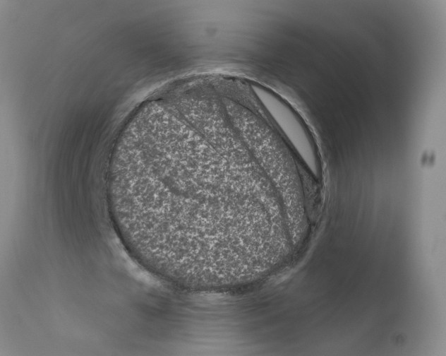 X0000111870577200909031818