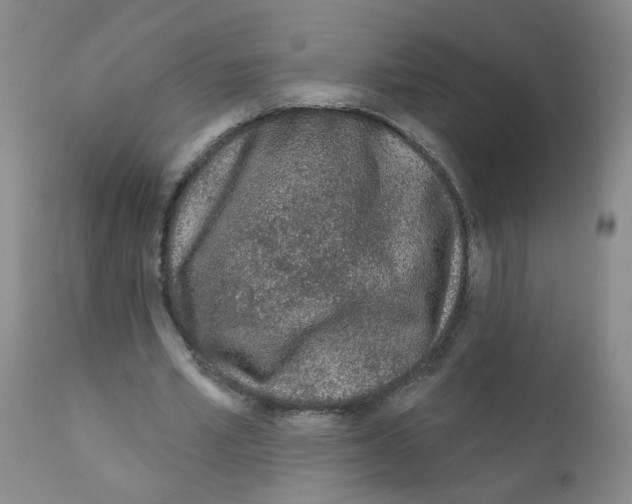 X0000111870581200909031818