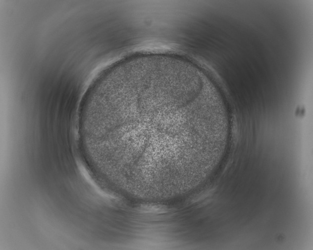 X0000111870582200909031818