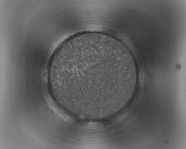 X0000111870584200909031818