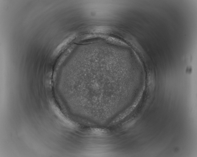 X0000111870585200909031818