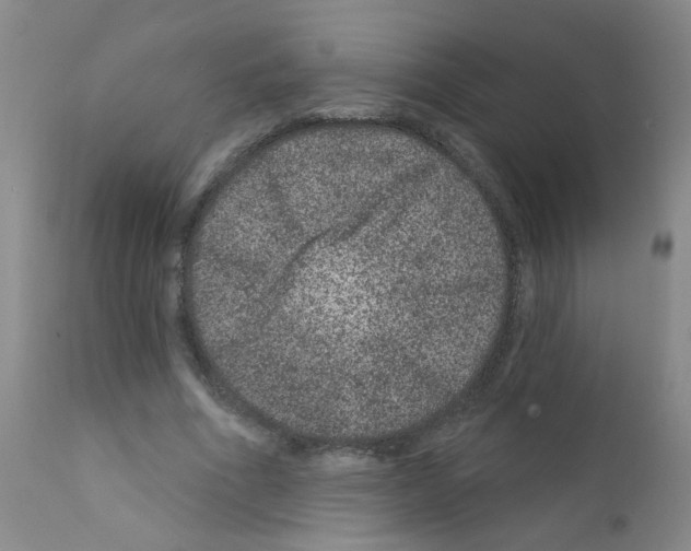 X0000111870586200909031818