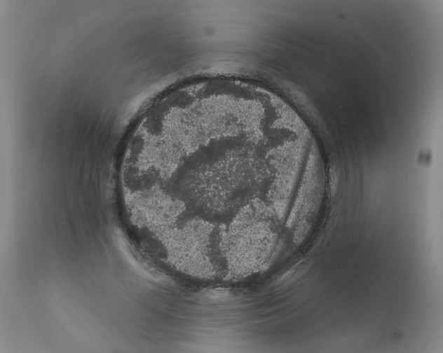 X0000111870588200909031817