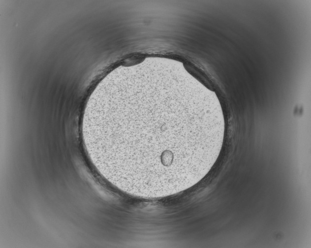 X0000111870589200909031817