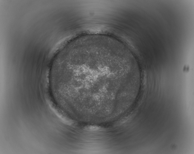 X0000111870590200909031817