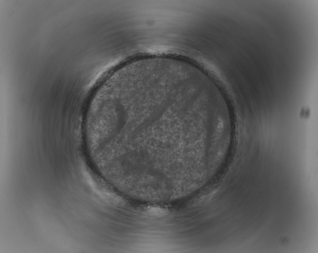 X0000111870592200909031817