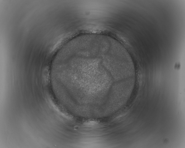 X0000111870594200909031817