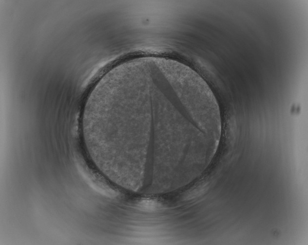 X0000111870596200909031817