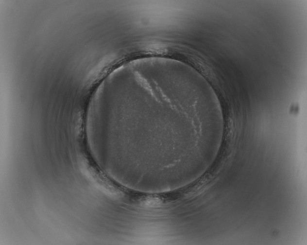 X0000111870600200909031817