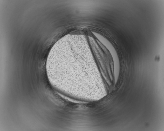 X0000111870601200909031817