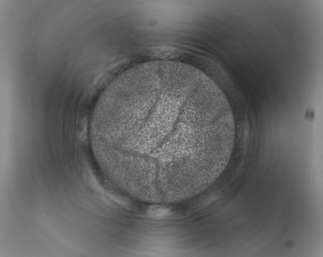 X0000111870602200909031817