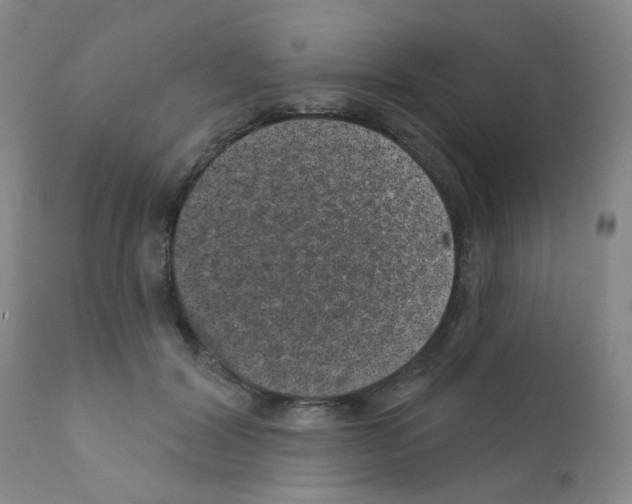 X0000111870604200909031817