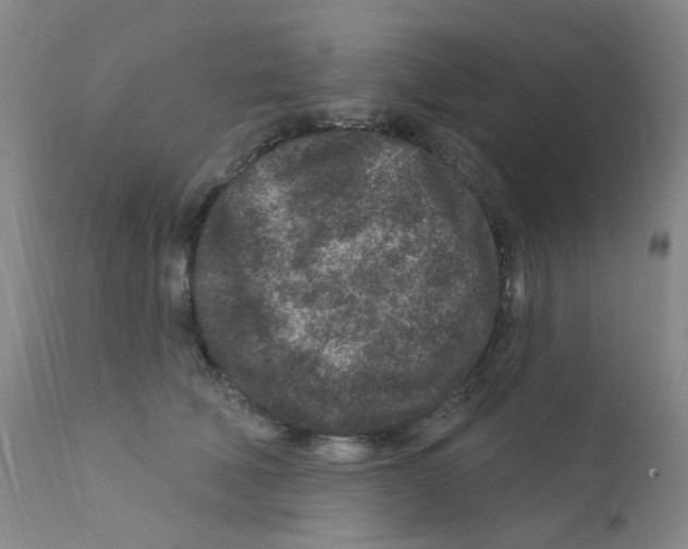 X0000111870610200909031817