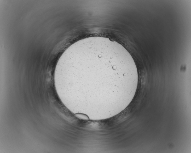 X0000111870611200909031817