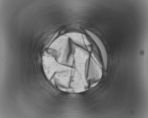 X0000111870617200909031817