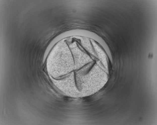 X0000111870621200909031817