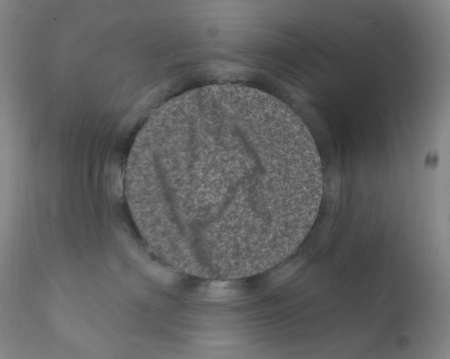 X0000111870622200909031817